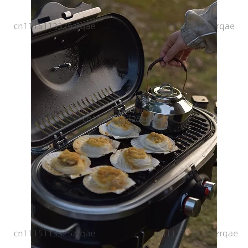 เตาแก๊สพกพาสำหรับตั้งแคมป์ ใช้ - Camping Cooking Range บทวิจารณ์และราคา